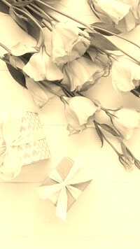 Szary + Sepia