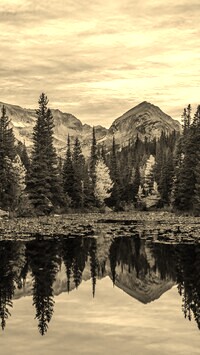 Sepia