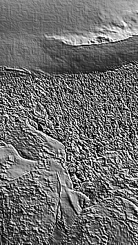 Skamielina