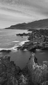 Szary