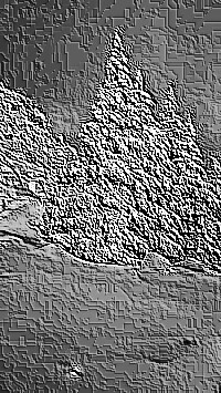 Skamielina