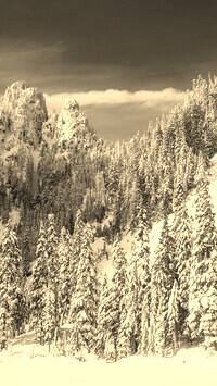 Szary + Sepia
