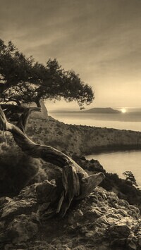 Szary + Sepia