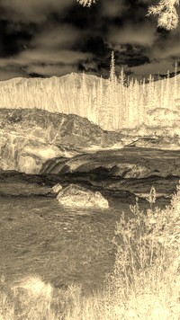 Sepia + Negatyw