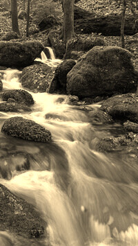 Sepia
