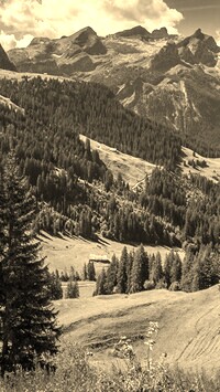 Szary + Sepia