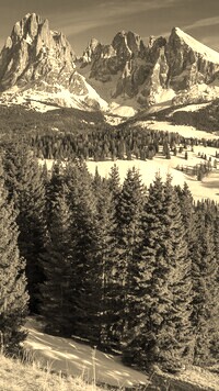 Szary + Sepia