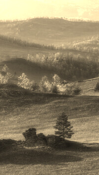 Szary + Sepia