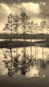 Sepia