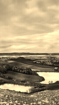 Sepia