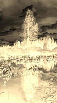 Sepia + Negatyw