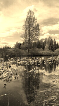 Sepia