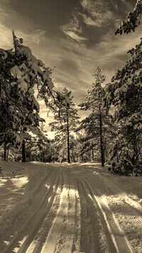 Szary + Sepia