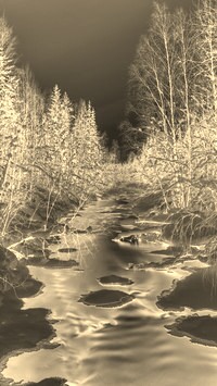 Sepia + Negatyw