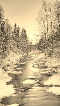 Szary + Sepia
