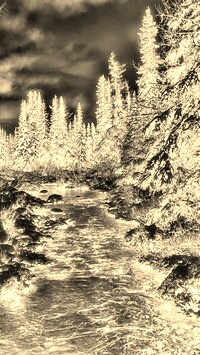 Sepia + Negatyw