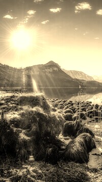 Szary + Sepia