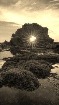 Szary + Sepia