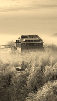 Szary + Sepia