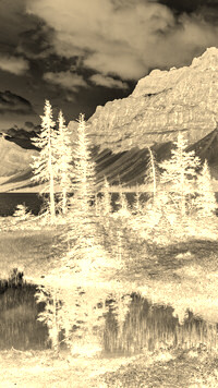 Sepia + Negatyw