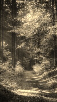 Szary + Sepia