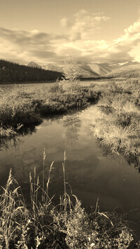 Sepia
