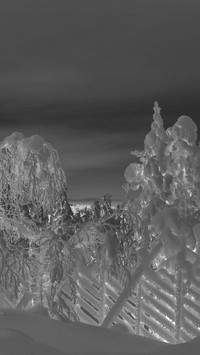 Szary + Negatyw