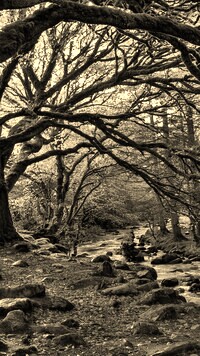 Sepia