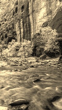Szary + Sepia