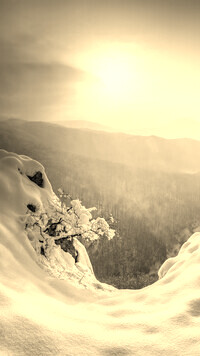 Szary + Sepia