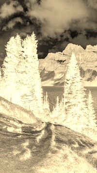 Sepia + Negatyw