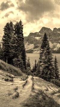 Szary + Sepia