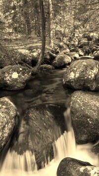 Sepia