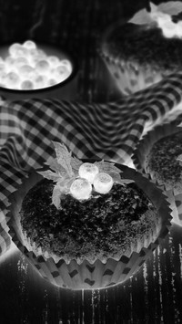 Szary + Negatyw