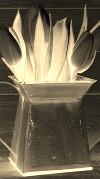 Sepia + Negatyw