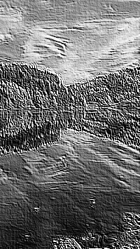 Skamielina