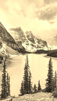 Szary + Sepia