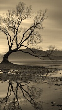 Szary + Sepia