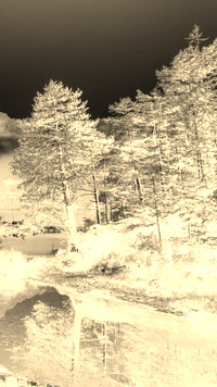 Sepia + Negatyw