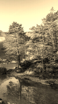 Szary + Sepia