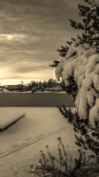 Sepia