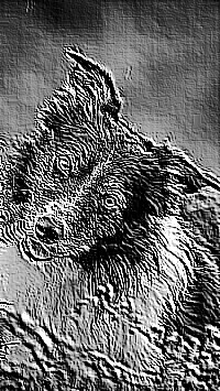 Skamielina