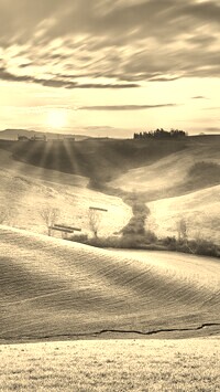 Szary + Sepia
