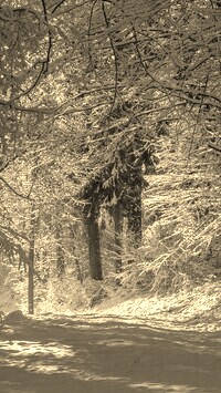 Szary + Sepia