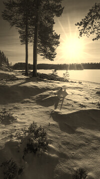 Szary + Sepia