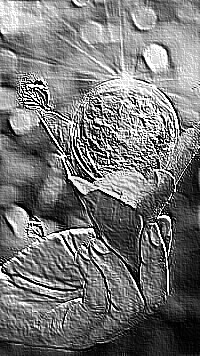 Skamielina