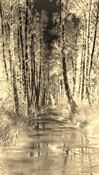 Sepia + Negatyw