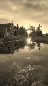 Szary + Sepia