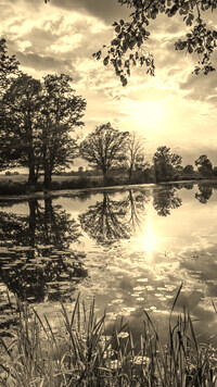 Sepia