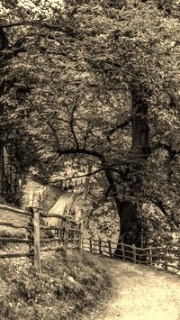Szary + Sepia